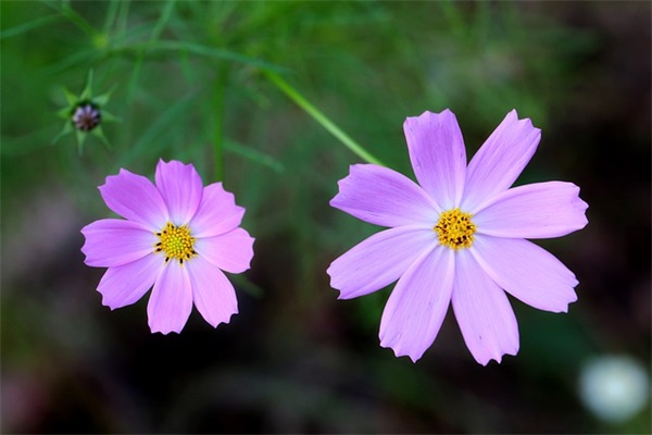 爱情抒情句子81句