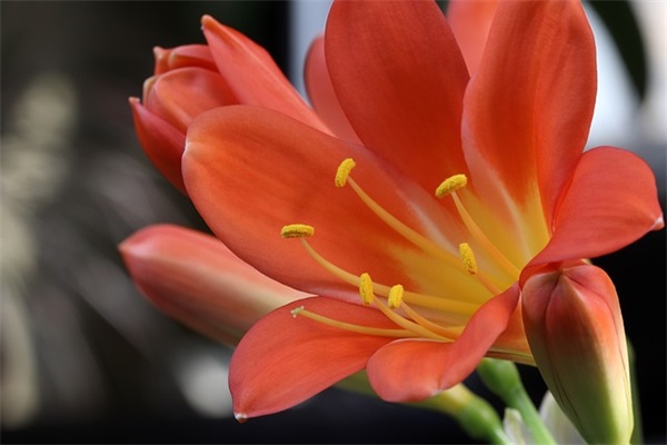 端午节问候温馨句子2025 端午节送安康的句子