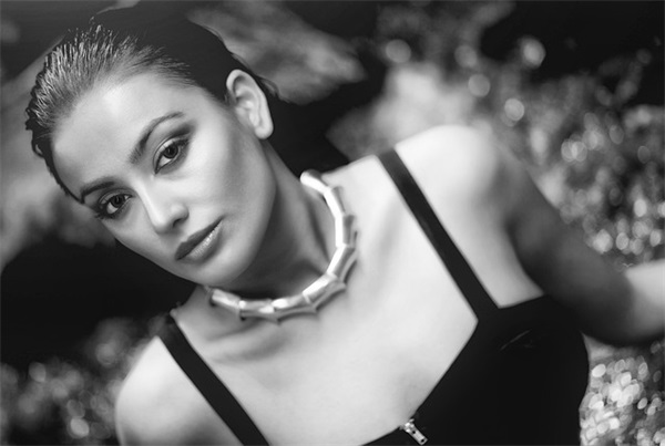 古诗原文初中下册