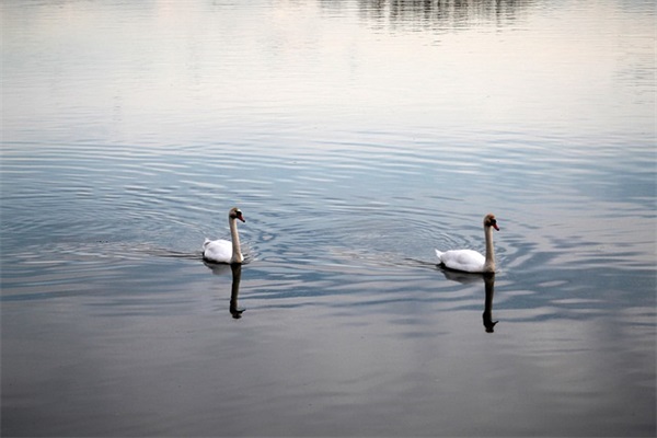 表达感谢的古诗