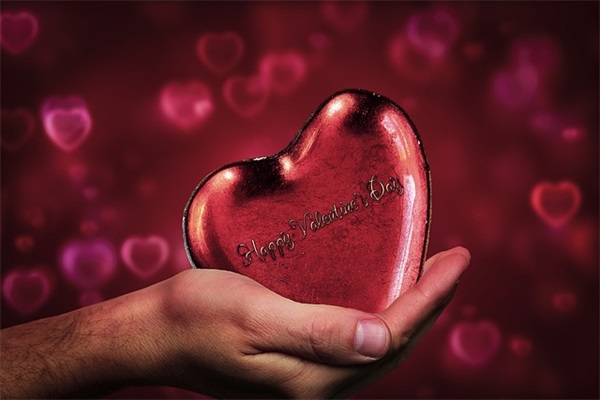 白居易春风古诗原文