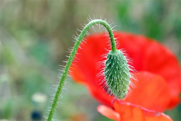 随室铭古诗原文