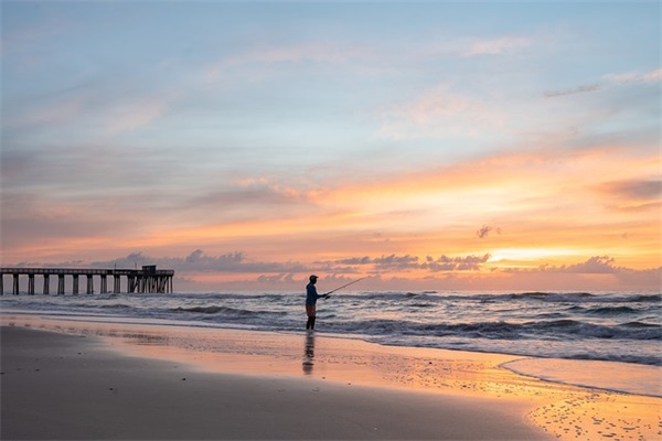 宿建德江古诗原文