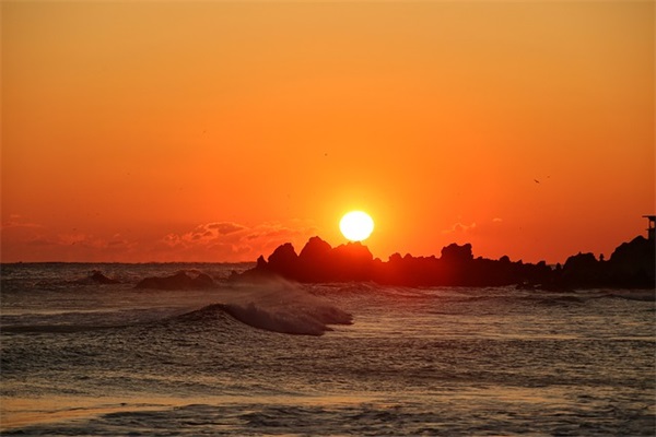 狐狸与乌鸦古诗原文