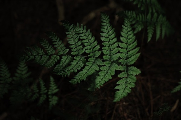 端午搞笑祝福短信183句