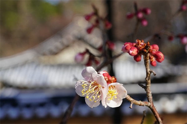 感谢大家祝福的话语