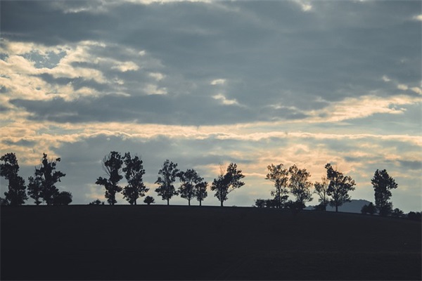 五四青年节鼓励年轻人的祝福词(致敬五四青年节的祝福语)