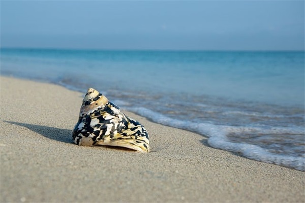 兔年恭贺新春温馨祝福文案