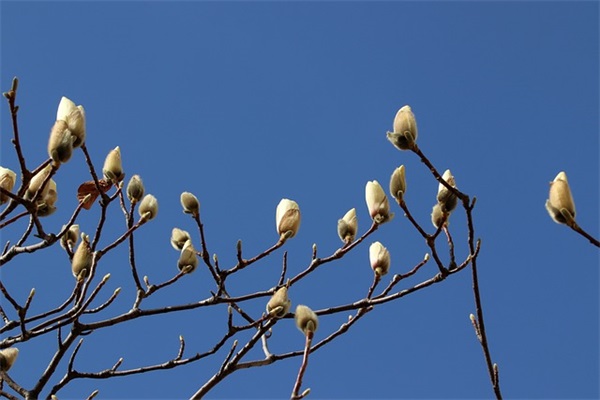 2025年最美的祝福语68句