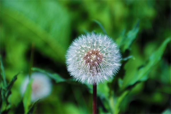 宝宝出生文案祝福语大全(刚出生的宝宝文案)