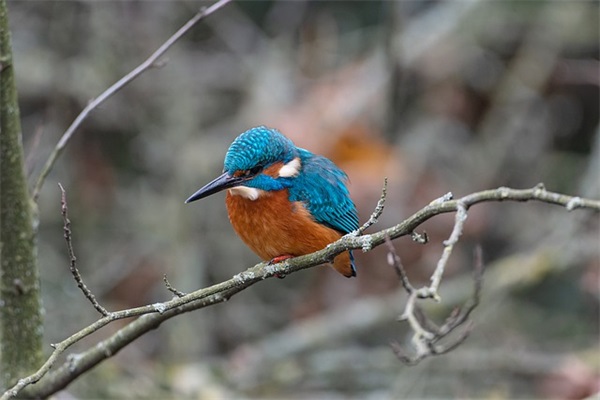 2025元旦祝福语贺词简短大全