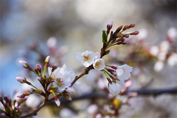 仿写彩色的梦第二小节和第三小节(精选23篇)