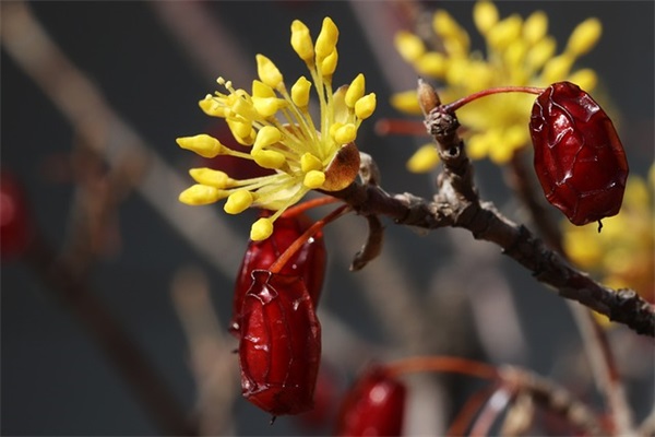 世上最浪漫的十句情话 动人的情话(精选57句)