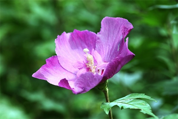 遵规守纪校长讲话稿(精选3篇)