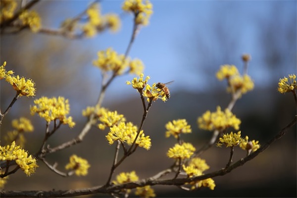 激励团队完成目标业绩的话语(精选82句)