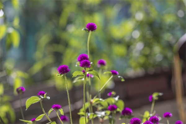 简单购房合同协议2024(精选3篇)