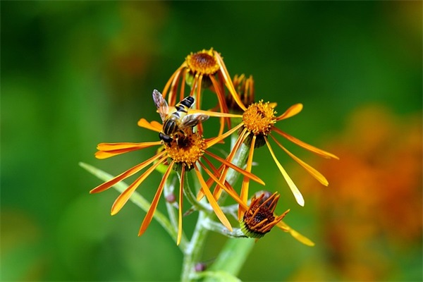 车间生产助理岗位职责(精选11篇)