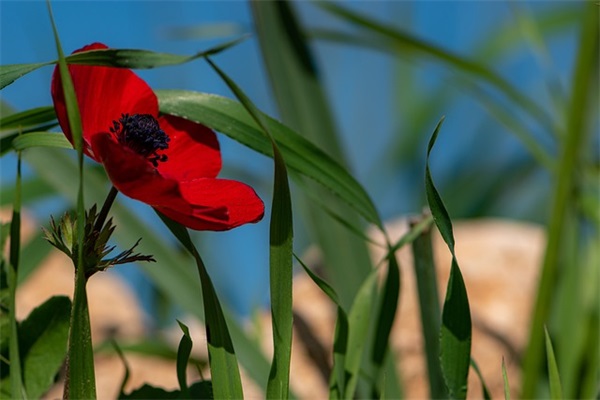 分手后伤感文案 分手后伤感文案10字(精选79句)