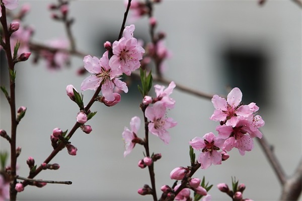 伤感文案短句扎心 伤感文案短句干净治愈(精选101句)