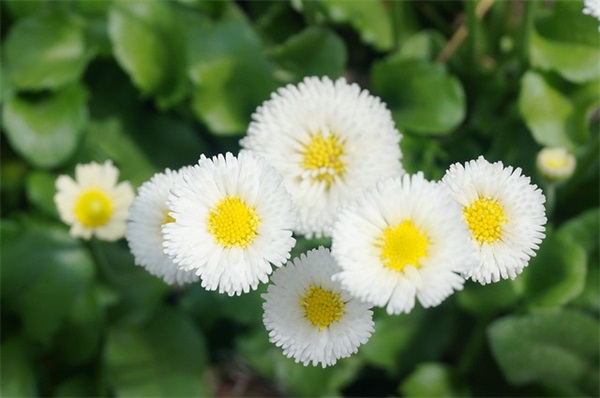 独一无二 致自己一段话霸气高冷的话(精选62句)