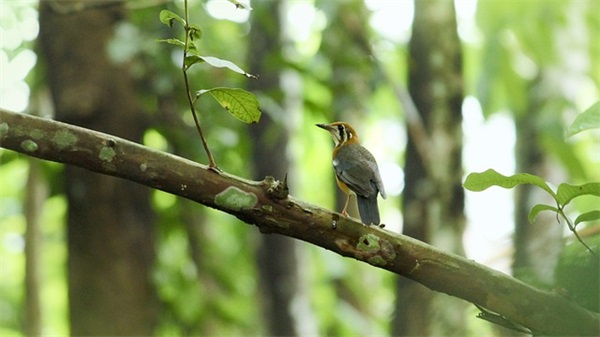 关于教师的格言(精选92句)
