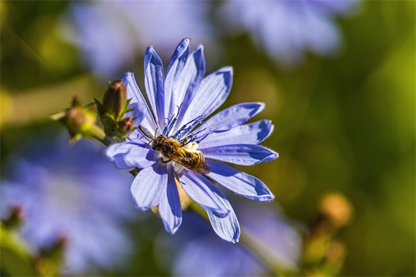 居住证明模板(精选18篇)