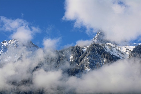 按揭专员岗位职责(精选5篇)