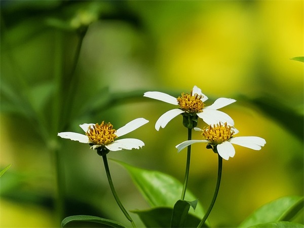 一句话挽留爱情 发什么话能让男人回心转意