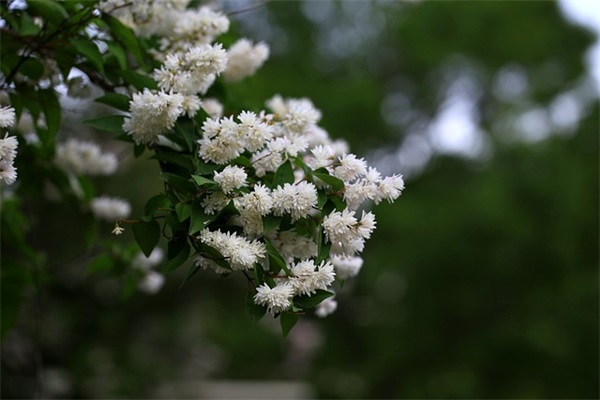 深夜伤感文案 男生伤感孤独文案(精选87句)