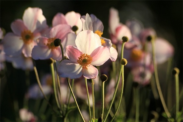 踏浪前行(精选3篇)