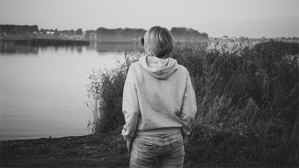 读《根鸟》有感750字