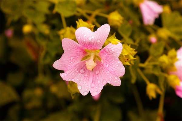 吃饭发朋友圈文案 吃饭发朋友圈文案(精选79句)