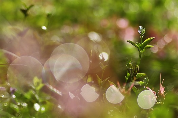 关于青春的摘抄 描写青春的好句好段摘抄(精选49句)