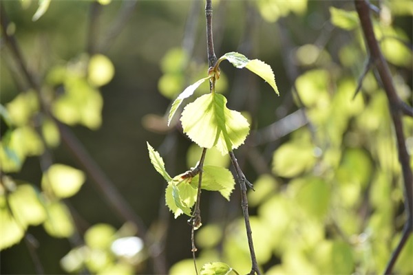 刻舟求剑故事新编(精选4篇)