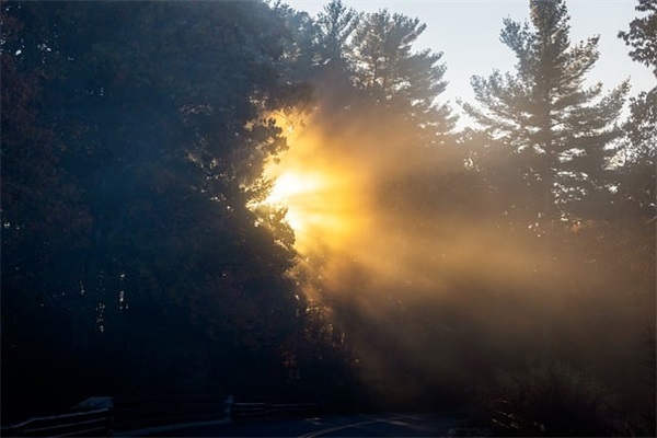 全职妈妈抖音最火短句 宝妈带娃扎心文案(精选52句)