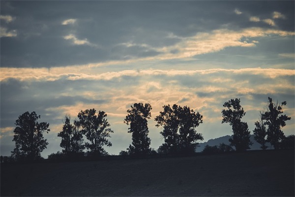 交通安全小短语 交通安全小短语图片(精选112句)