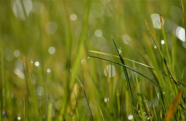 发给客户的早安问候语 简短客户早安问候正能量