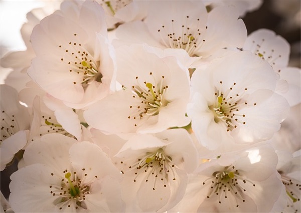 孔子最经典的激励人心的话(精选99句)