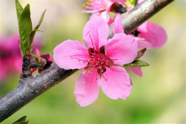 和情人聊天的幽默话语 晚上聊天幽默话语(精选79句)