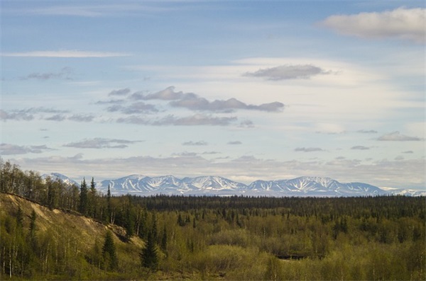 明教口号 明教口号(精选143句)