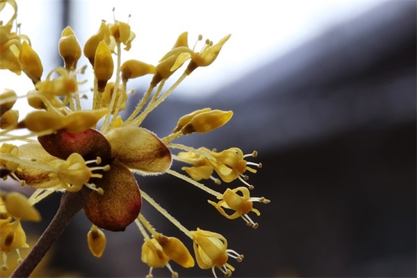 表达对女友爱意的情话(精选67句)