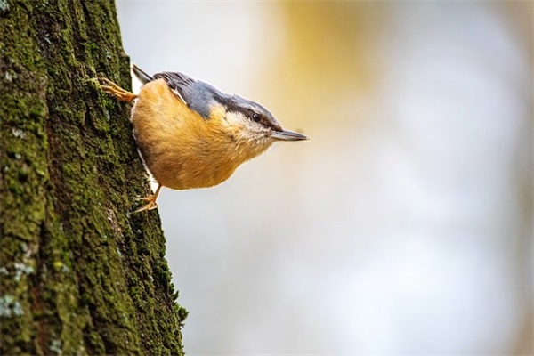 微信的个性签名写什么好 微信的个性签名写什么好小学生