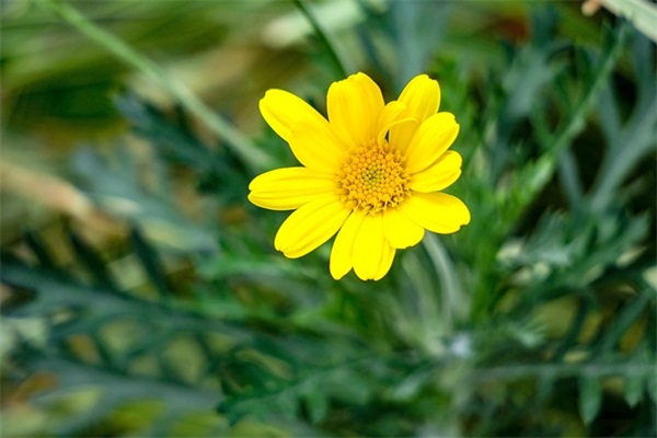 禁毒朗诵稿1分钟~2分钟(精选8篇)