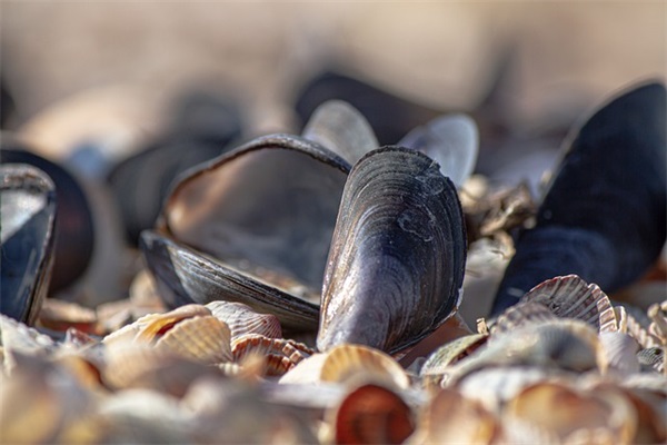 2024考试有趣搞笑的朋友圈文案(精选73句)