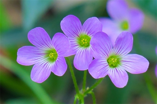 入党宣誓感想(精选3篇)