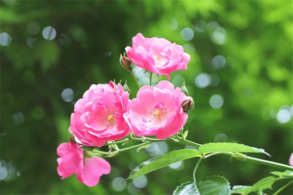 分手感人落泪的话语 女儿出嫁母亲感人落泪话语