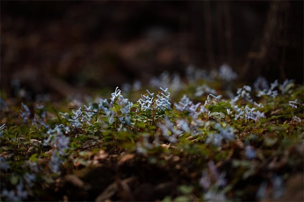 手罢了工了(精选4篇)