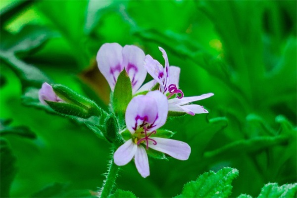 人生格言简短霸气 小学生人生格言简短霸气