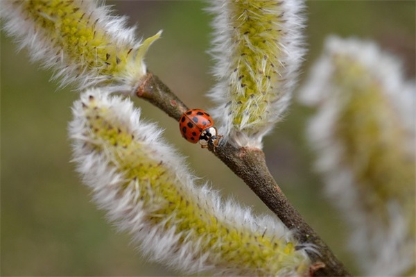 适合小孩生日的文案 孩子生日想发个朋友圈