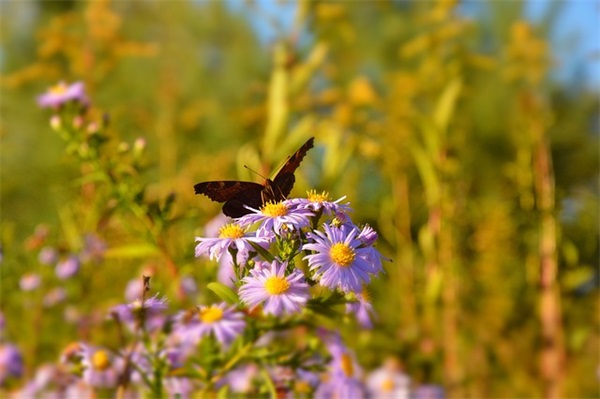 关于夏天的文案短句 夏天甜甜的文案短句(精选81句)